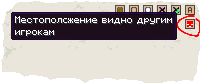 Настройка отображения игрока на карте